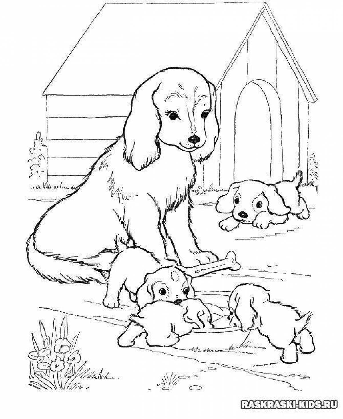 Adorable dog drawing coloring book