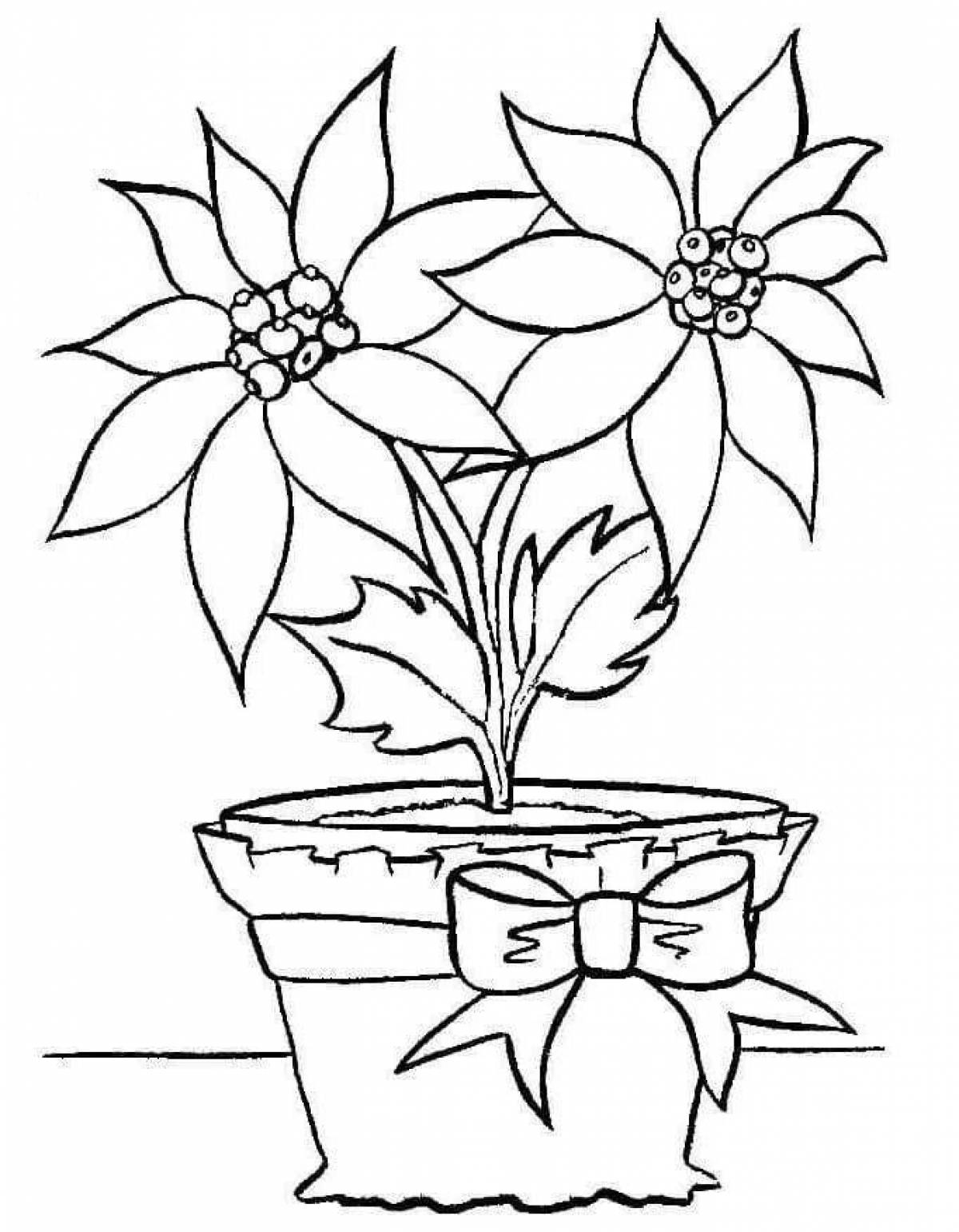 Charming coloring flower in a pot