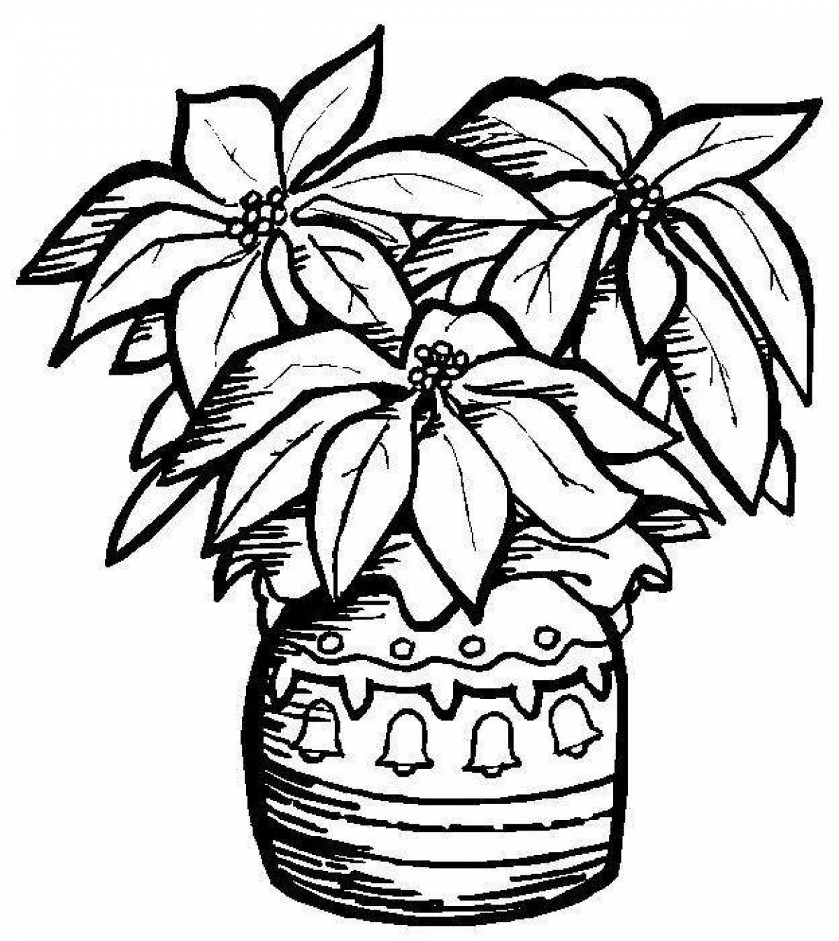 Coloring page exalted flower in a pot