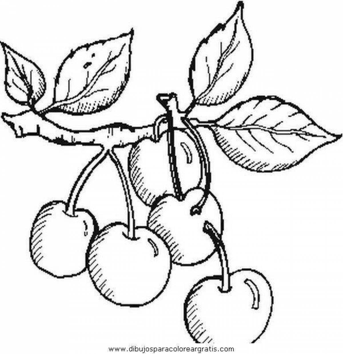 Cherry coloring book for kids