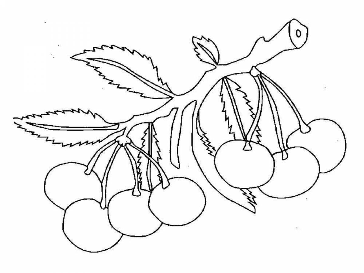 Раскраска экзотическая вишня для детей