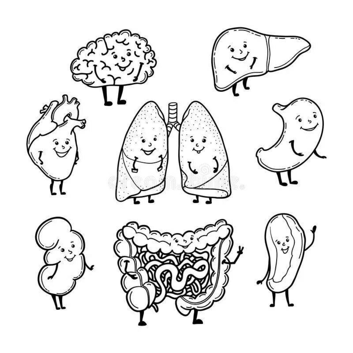 A fascinating coloring book of human organs for children