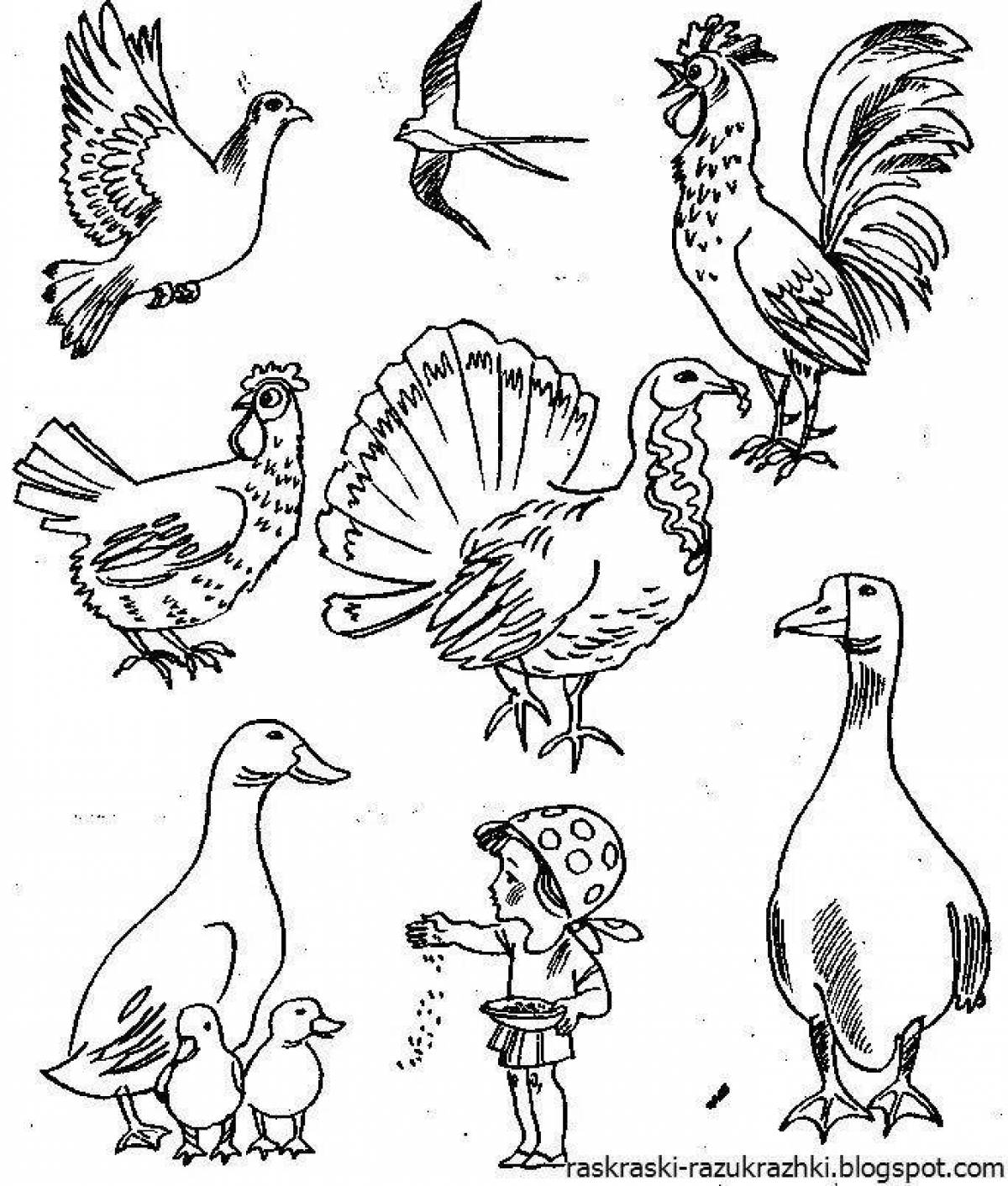 Красочная страница раскраски птицы для детей 3-4 лет