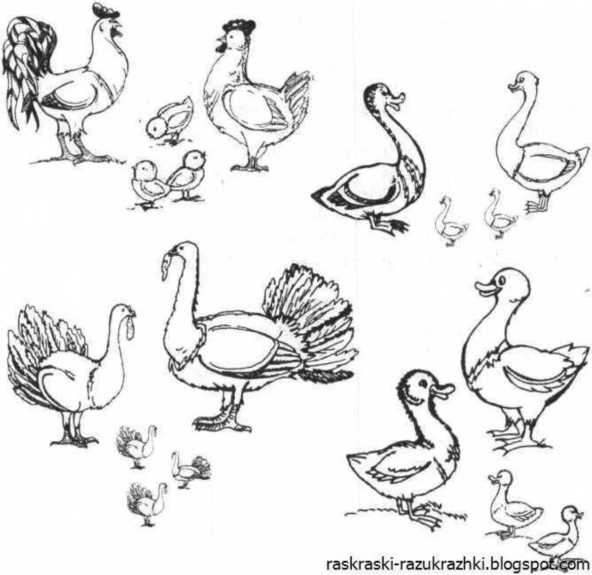 Playful bird coloring page for kids