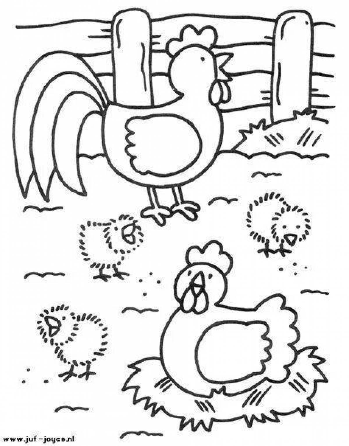 Splendid poultry coloring book for preschoolers