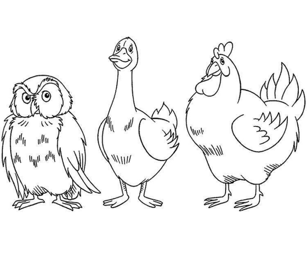 Amazing poultry coloring page for 3-4 year olds