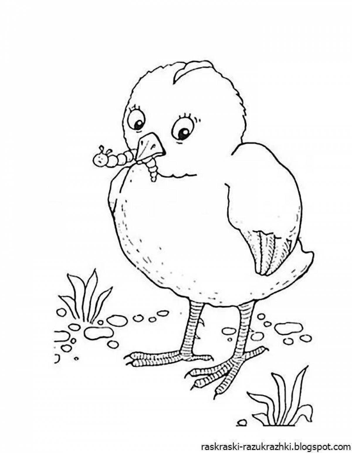 Впечатляющая страница раскраски птицы для детей