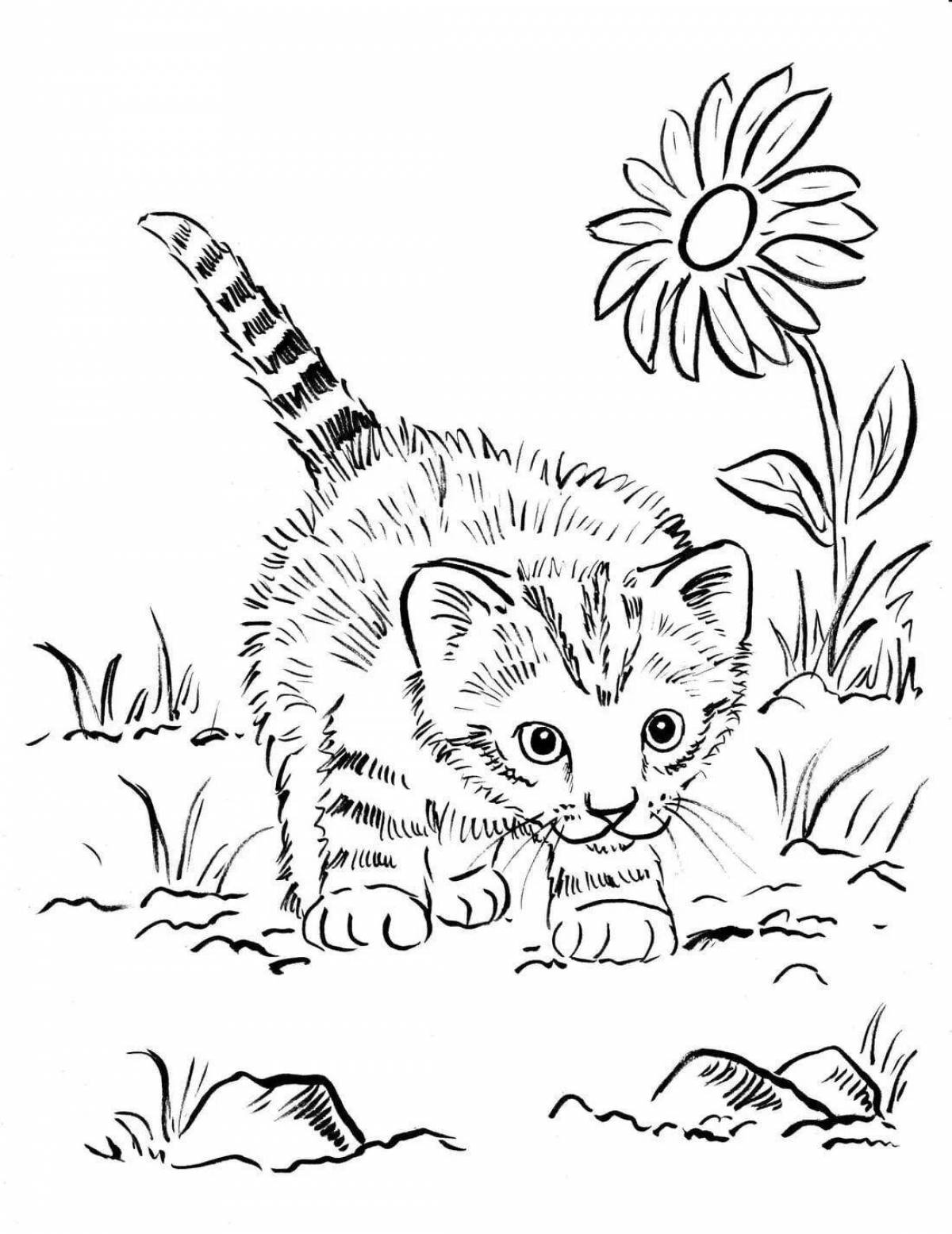 Amazing coloring pages for 6-7 year olds with cats