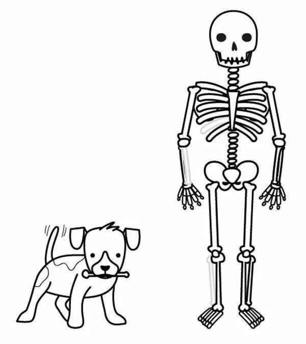 Яркая страница раскраски человеческого скелета