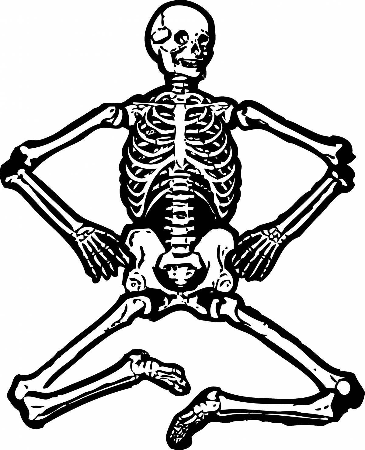 Attractive human skeleton coloring page