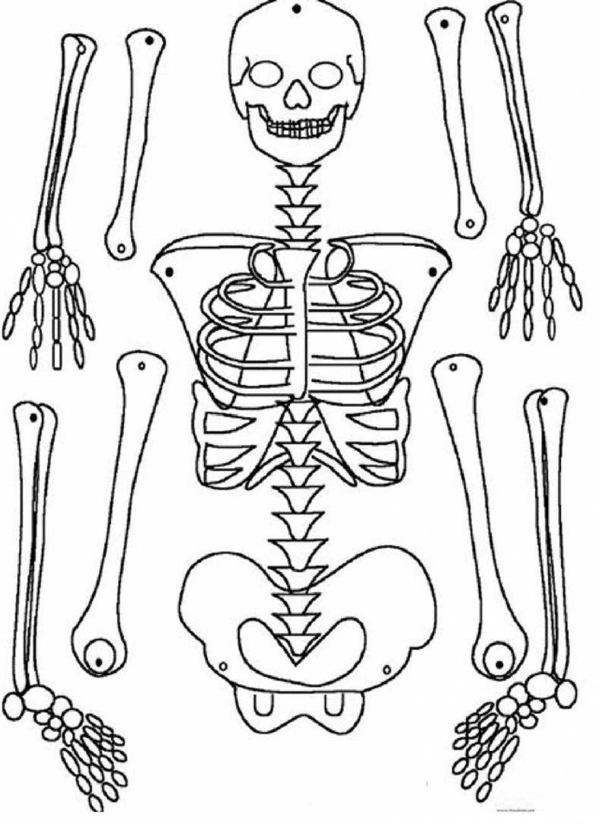 Innovative human skeleton coloring page