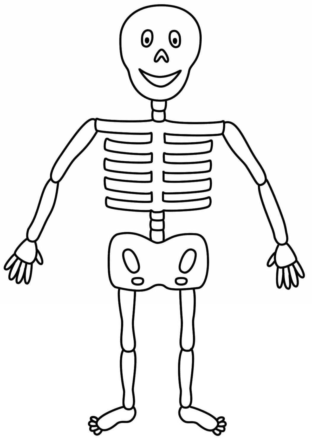 Раскраска с изображением человеческого скелета