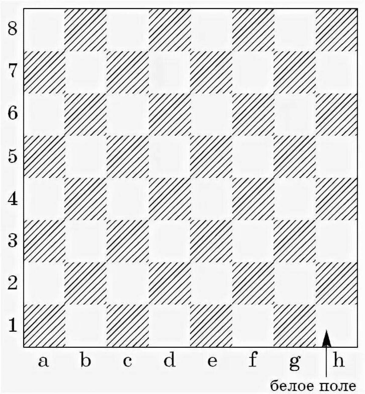 Attractive checkerboard coloring page