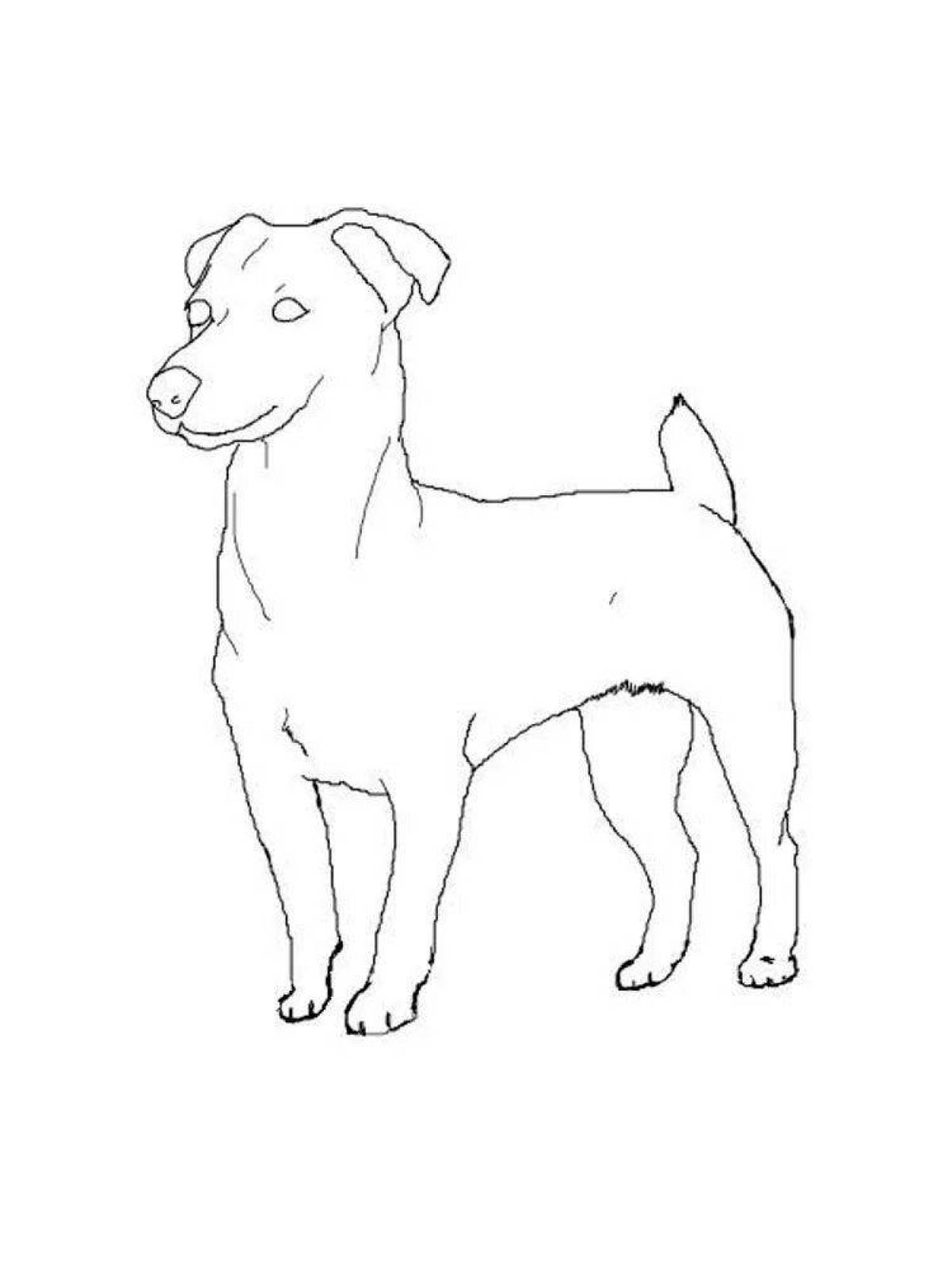 Jack Russell's charming coloring book