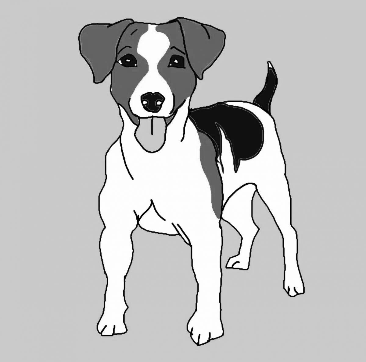 Playful jack russell coloring page