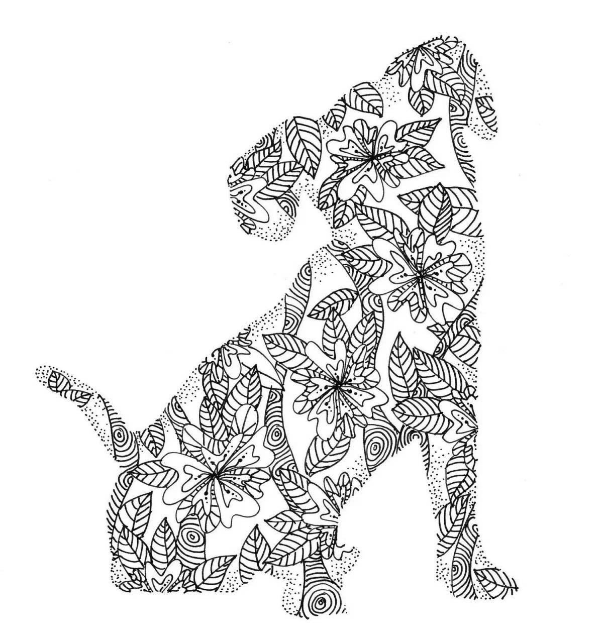 Jack Russell coloring page