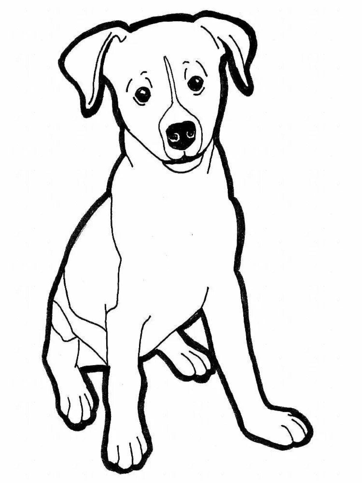 Joyful jack russell coloring page