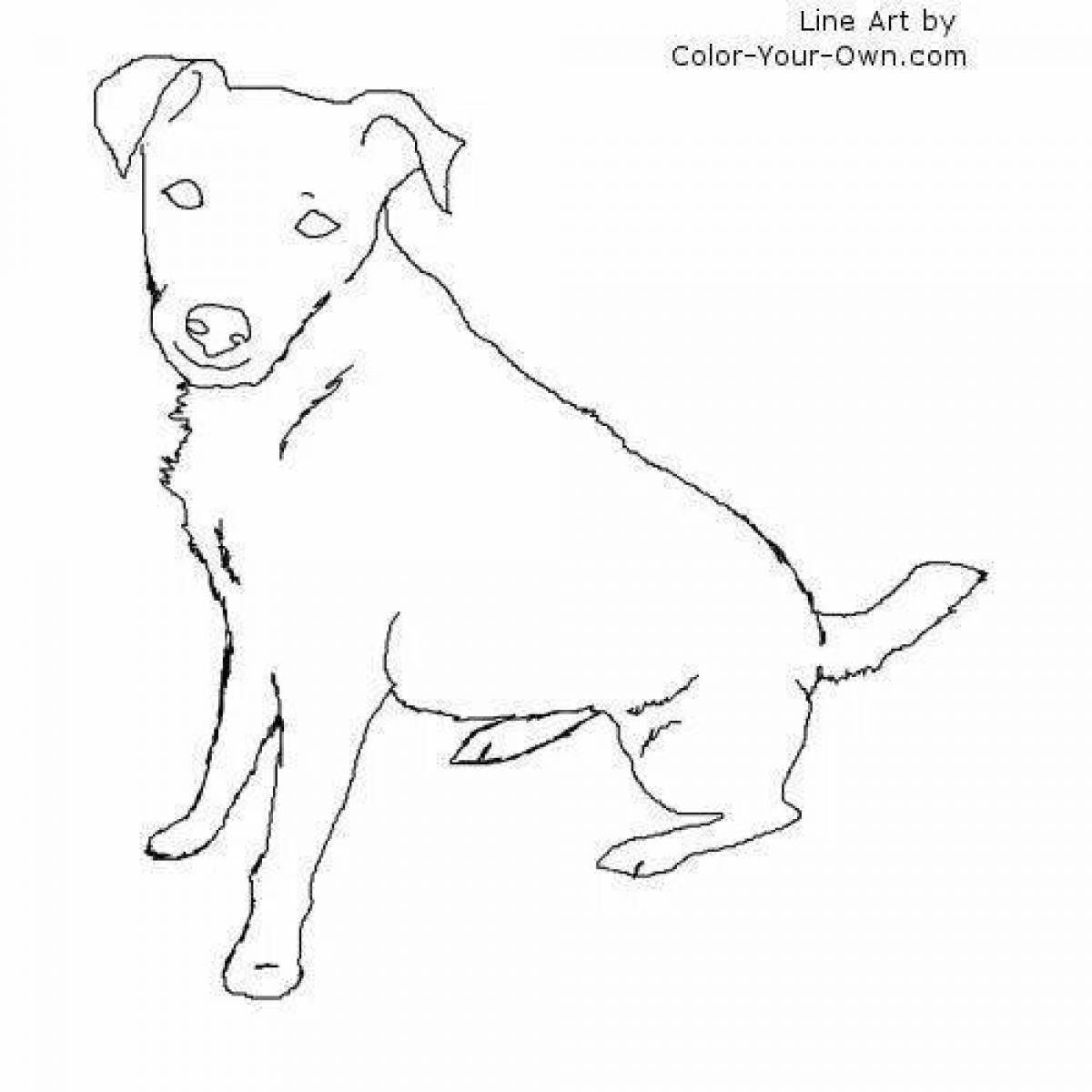 Jack russell cute coloring page