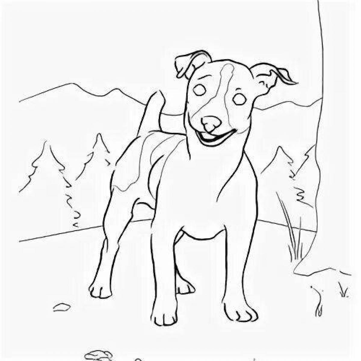 Coloring page of outgoing jack russell