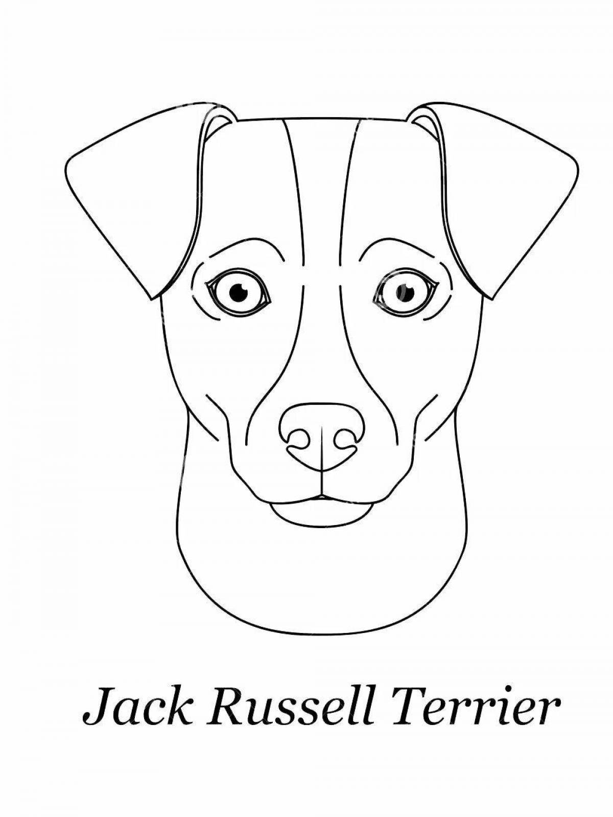 Coloring book inquisitive jack russell