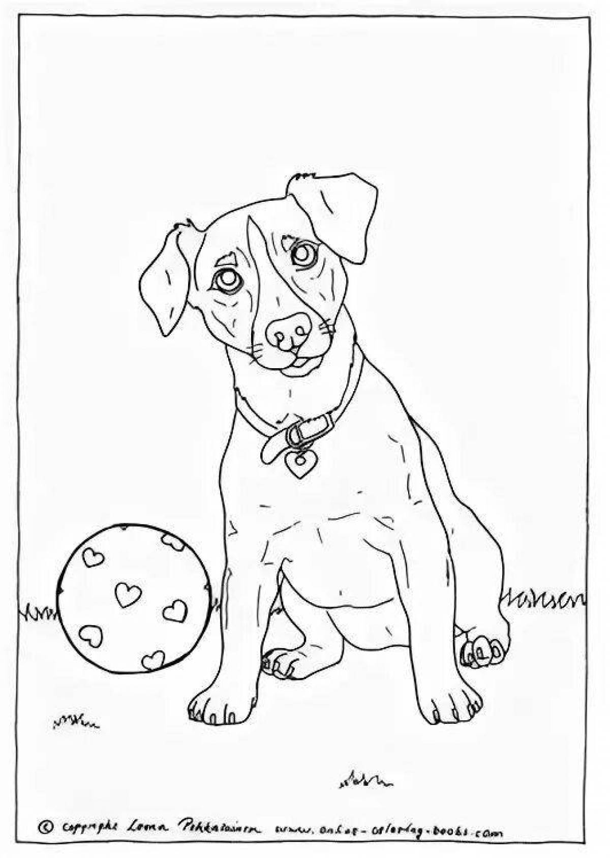Coloring book clever jack russell