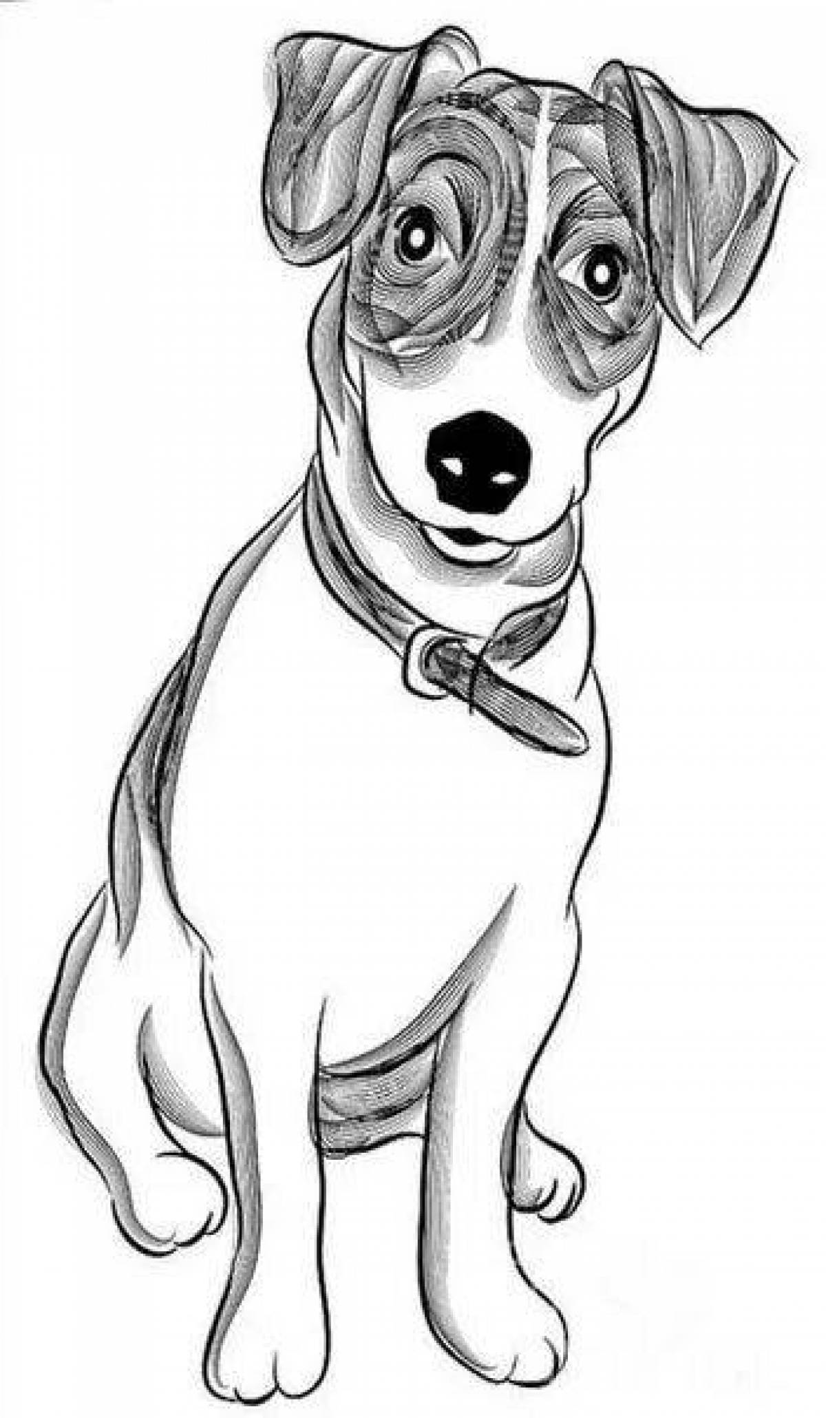 Witty jack russell coloring page