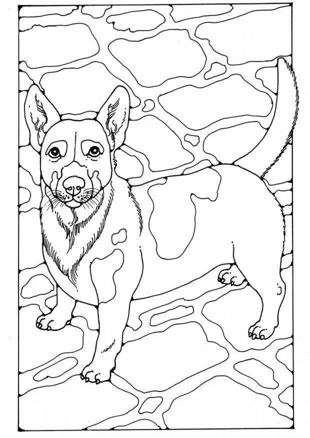 Coloring book brave jack russell