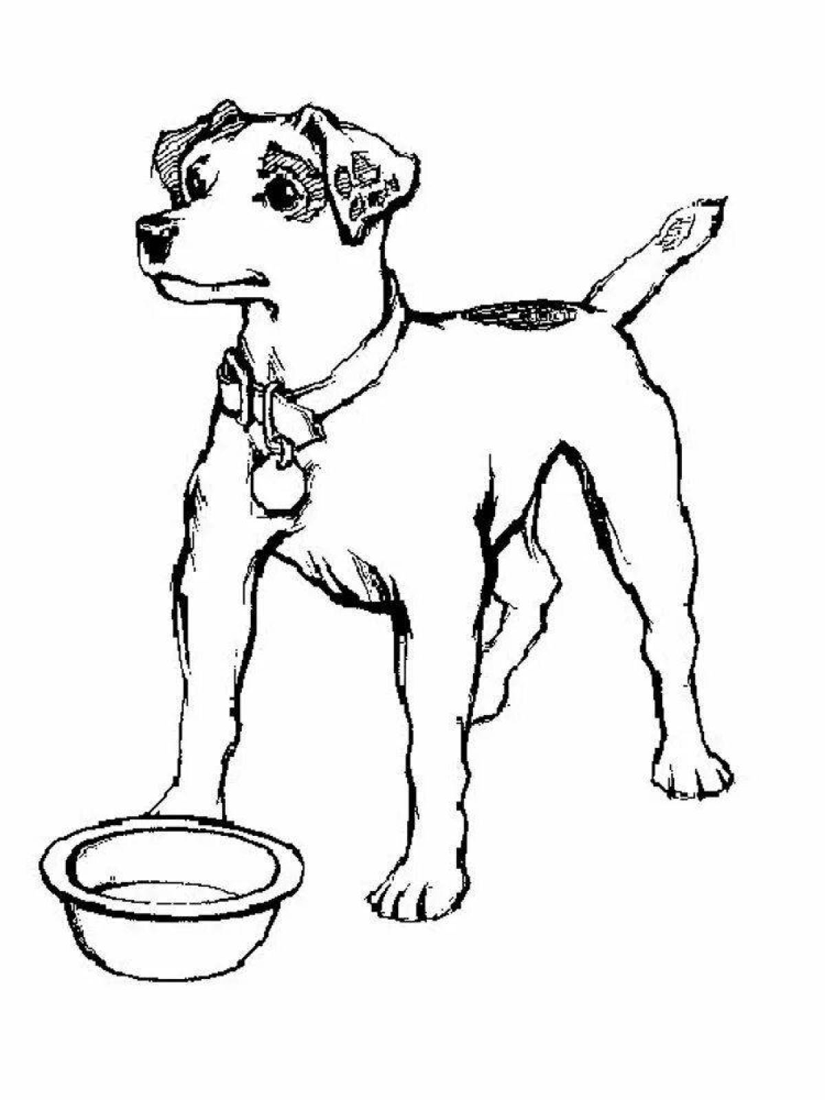 Coloring page affectionate jack russell