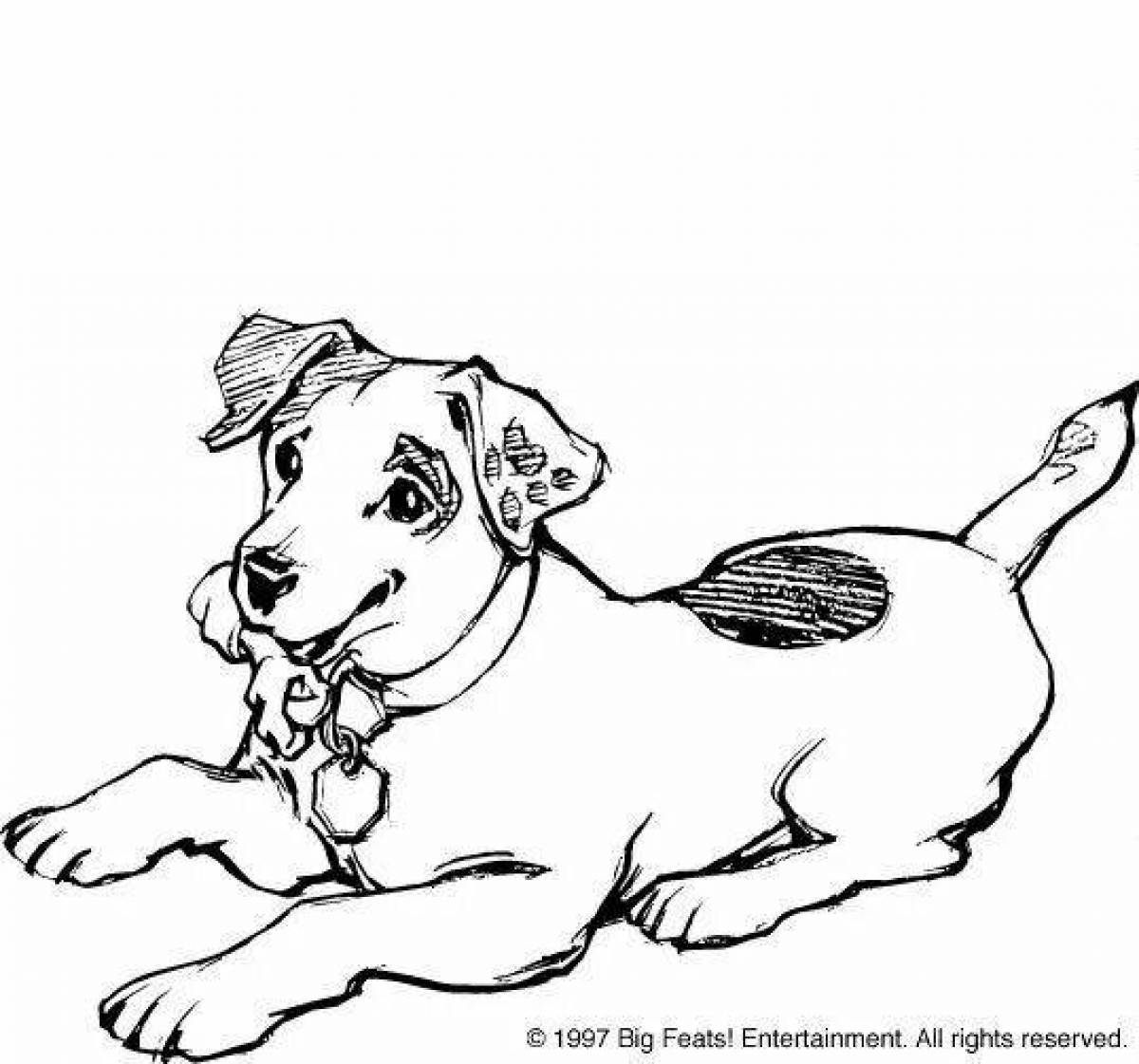 Protective jack russell coloring page