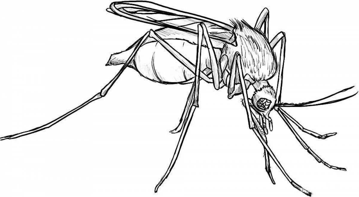 Как нарисовать комара. Рисуем комара. Комар раскраска. Раскраска насекомые комар. Раскраска Камара.