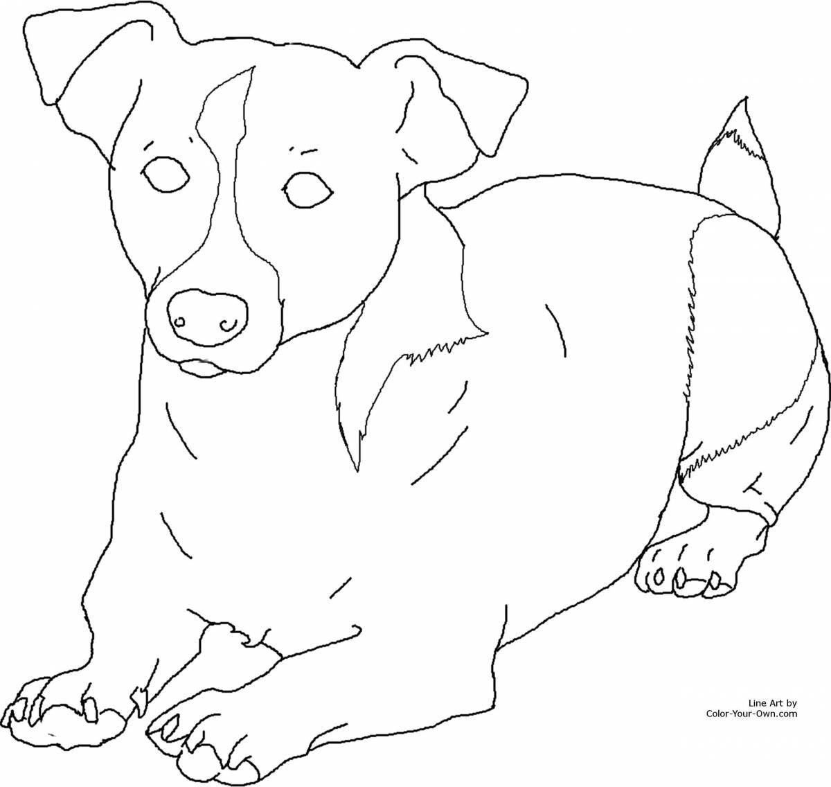 Coloring book faithful jack russell