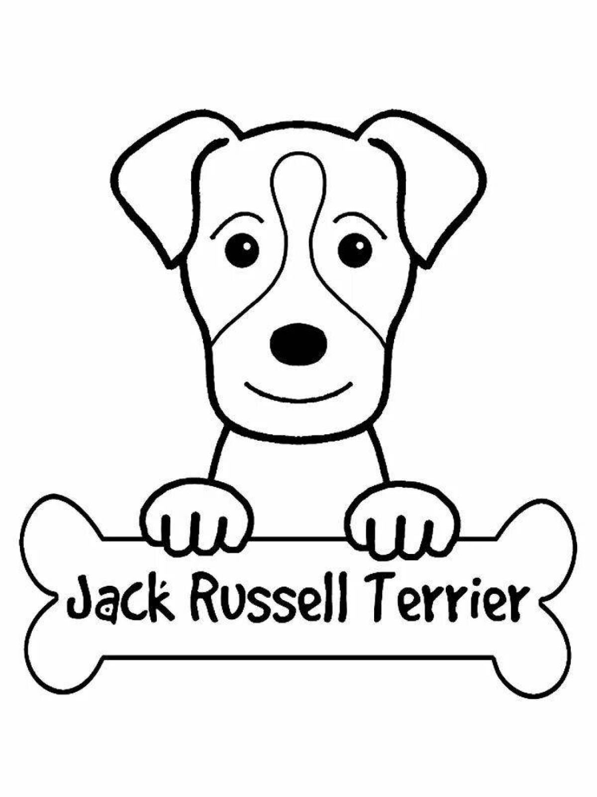 Jack russell sports coloring