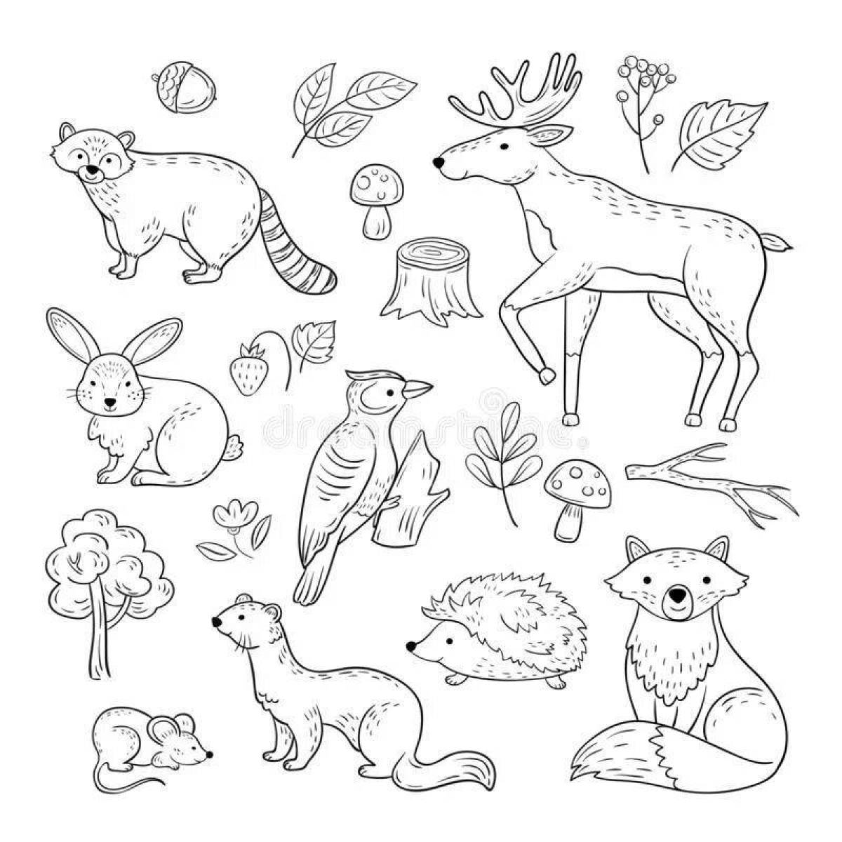 Colorful forest animal coloring page