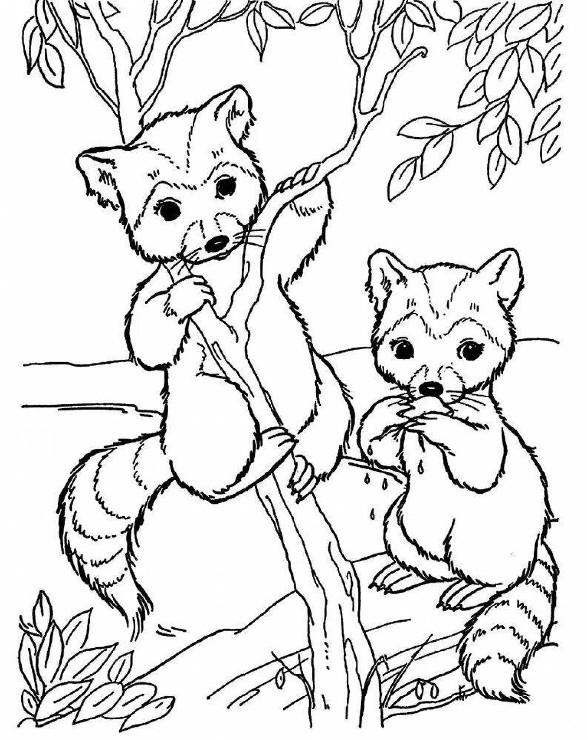 Coloring funny forest animals
