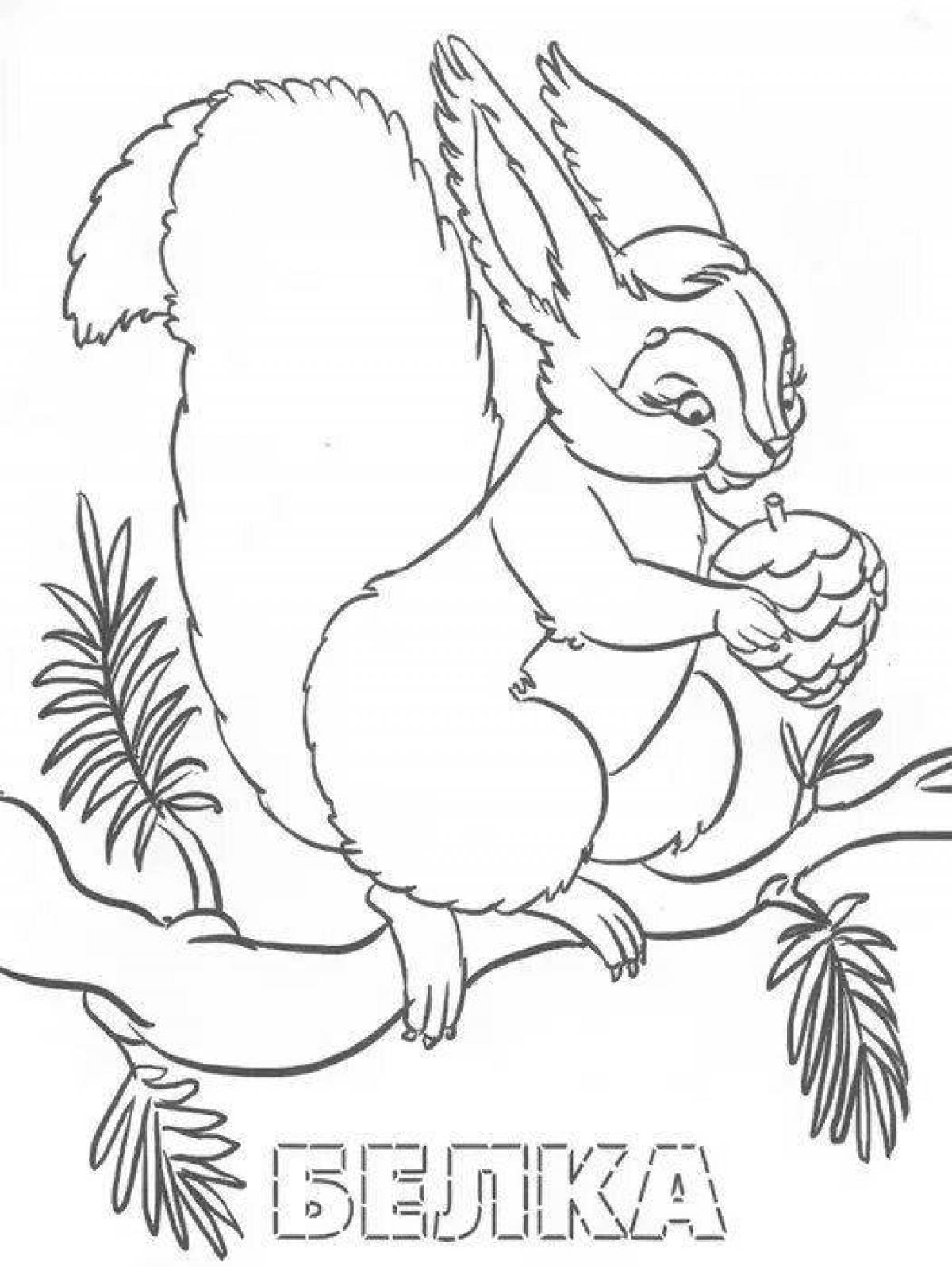 Blissful forest animals coloring book