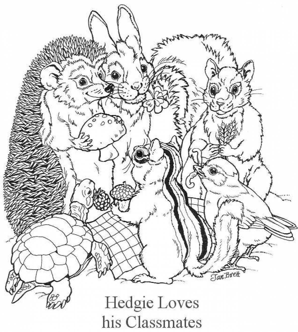 Highland forest animals coloring book