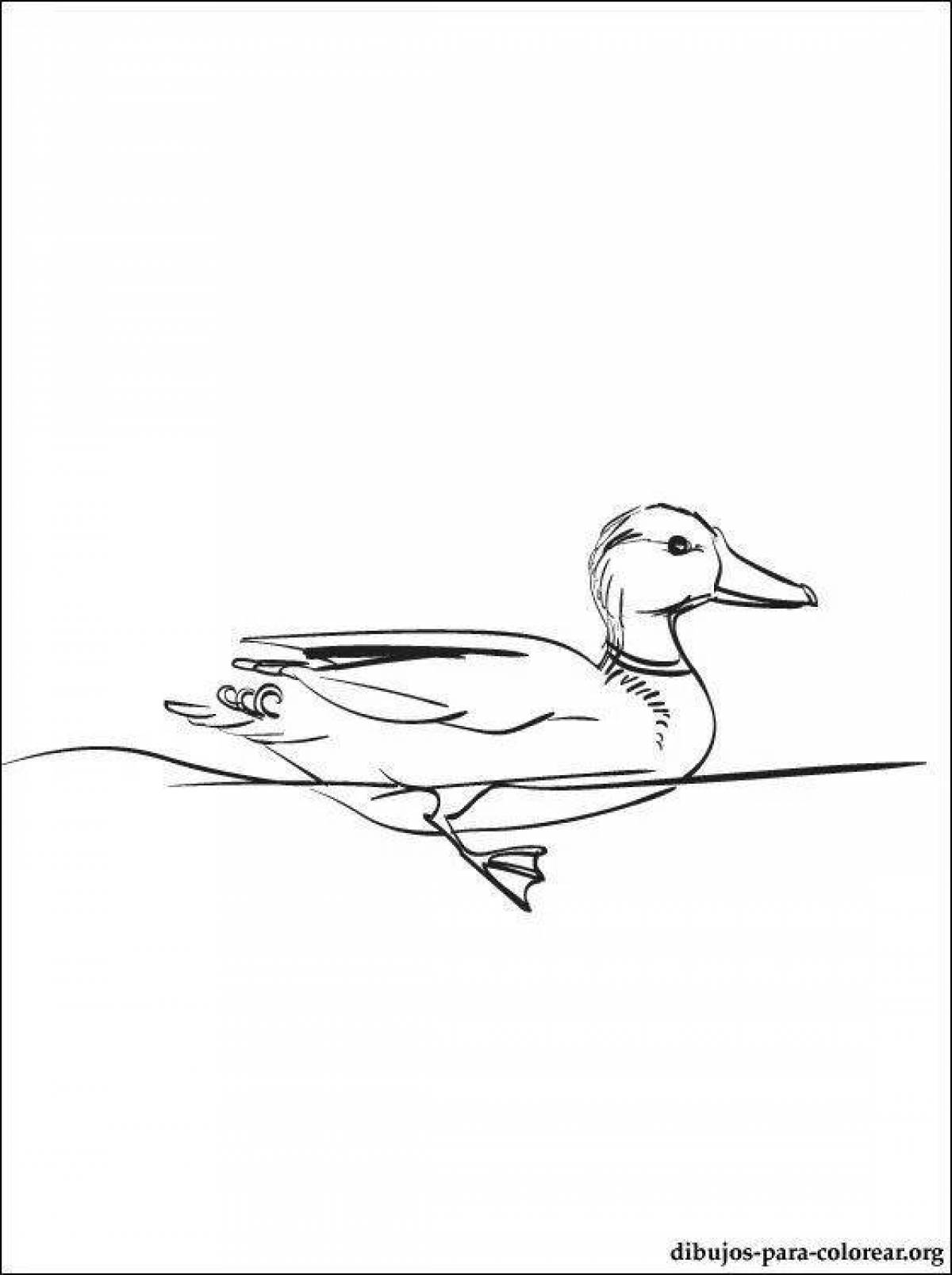 Wonderful lanfan duck coloring pages