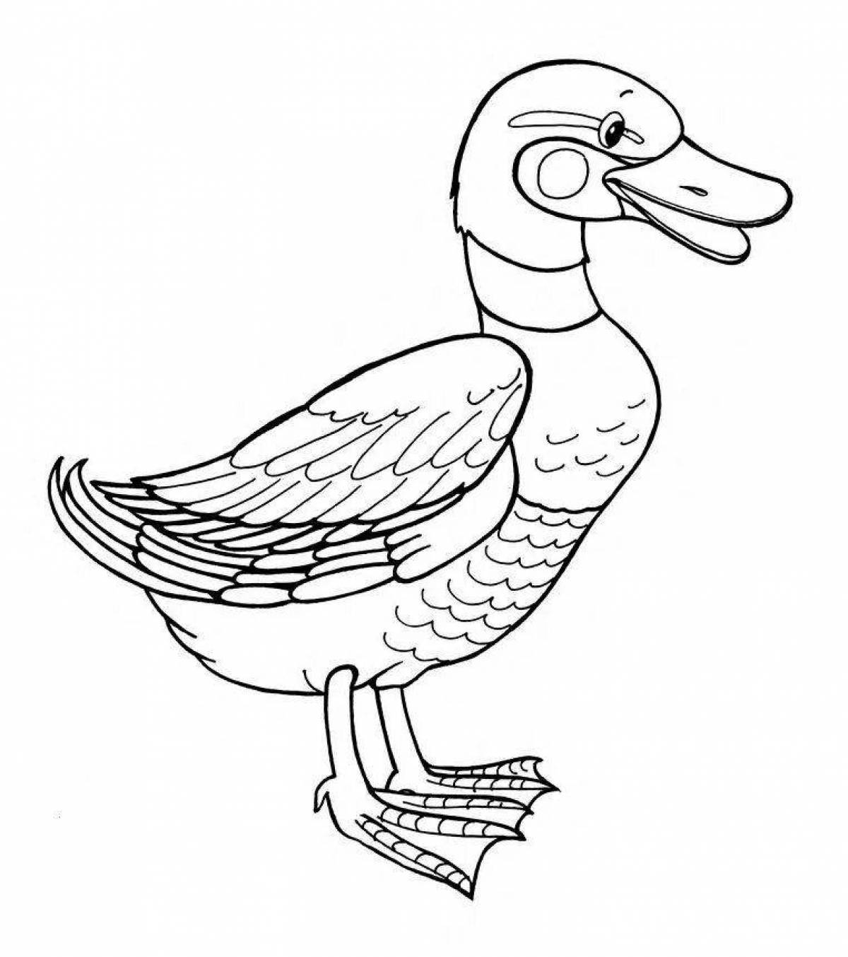 Coloring page gorgeous lanfan duck