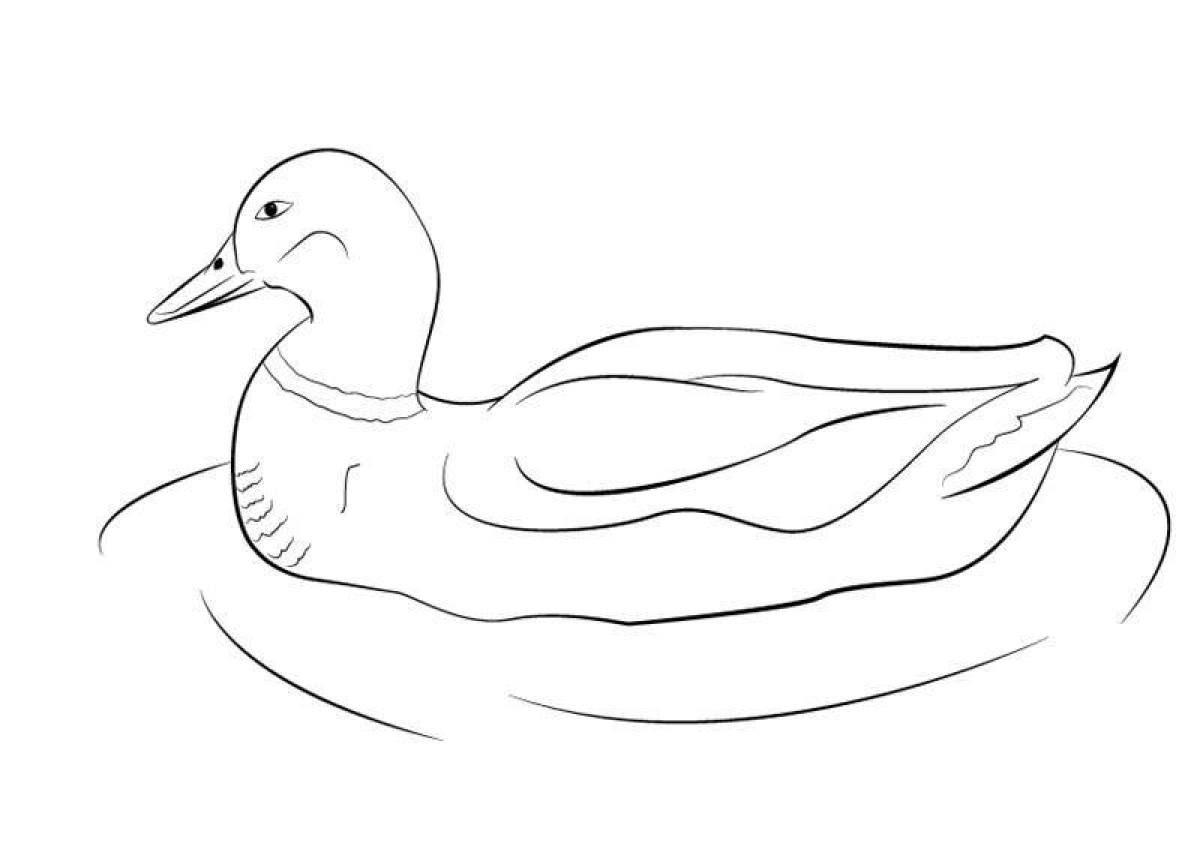 Exquisite lanfang duck coloring page