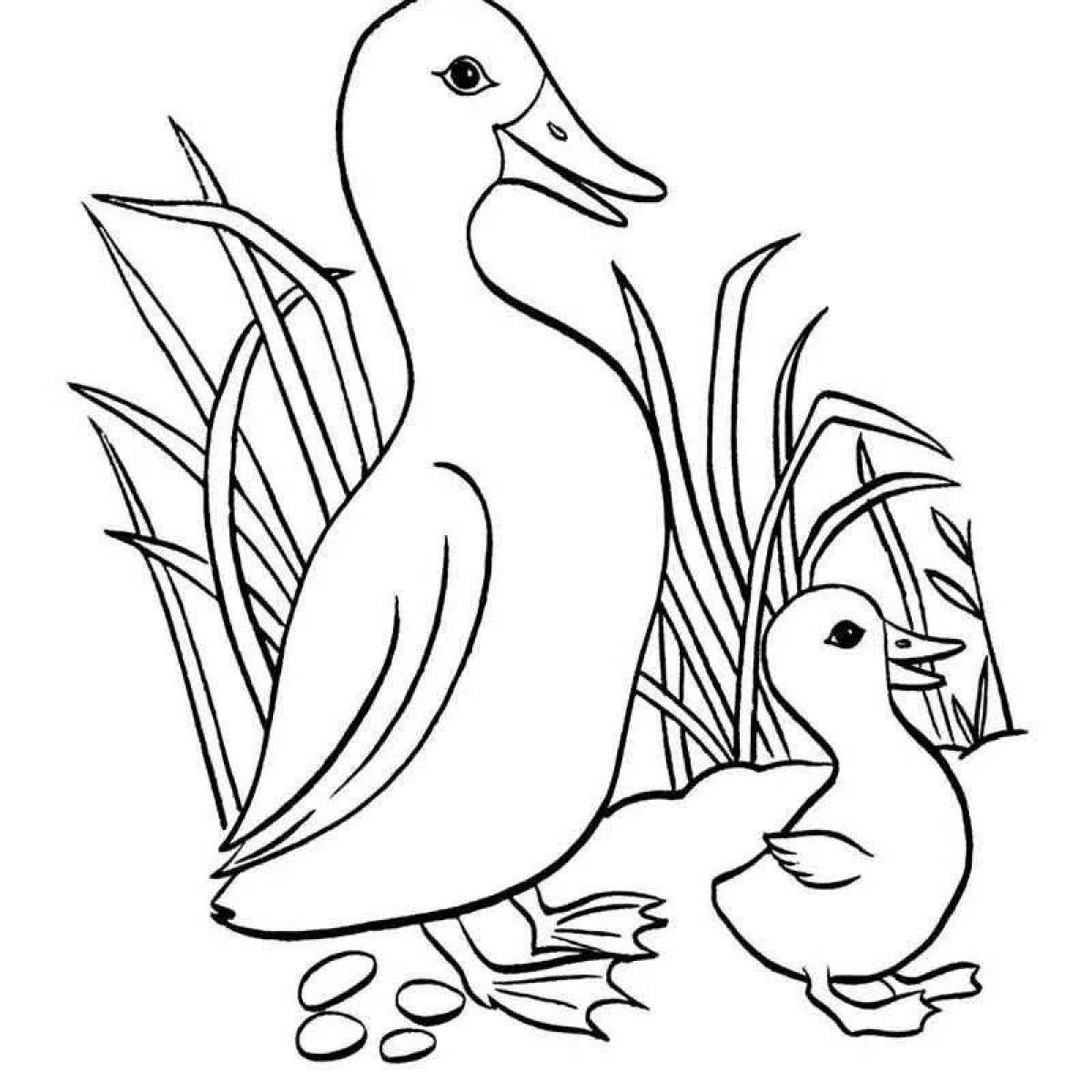 Zani lanfang duck coloring page