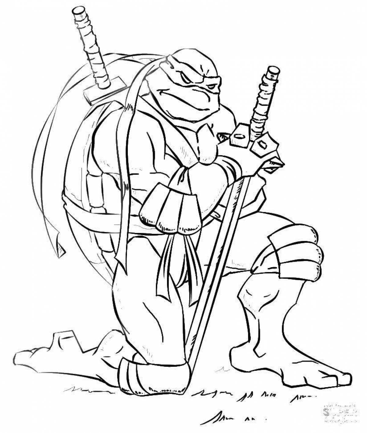 Attracting raphael ninja turtles coloring book