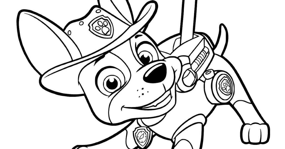 Paw patrol tracker coloring book