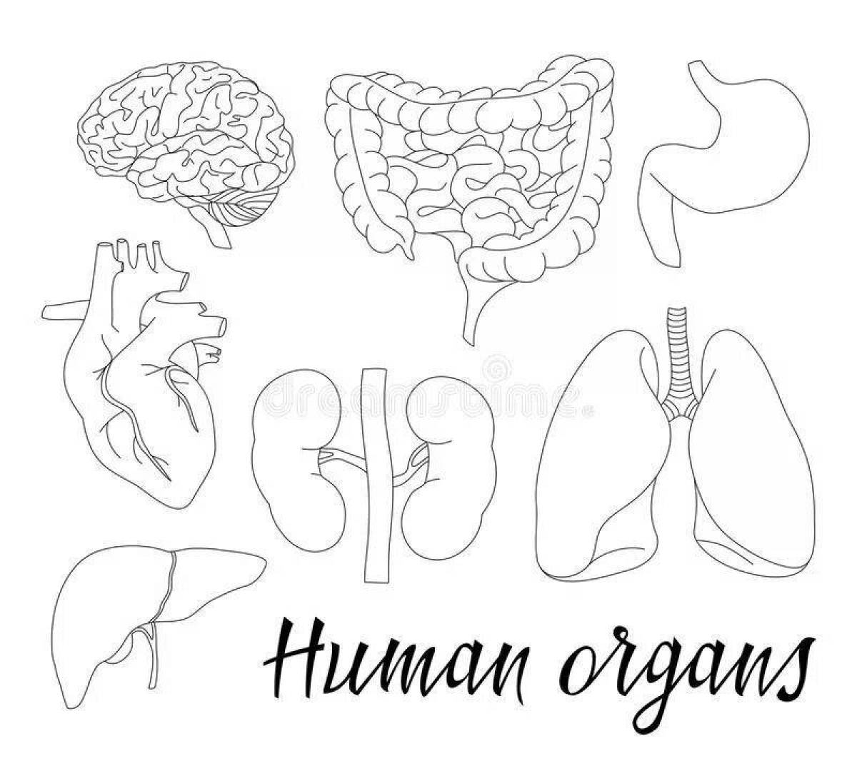 Tempting coloring of human internal organs