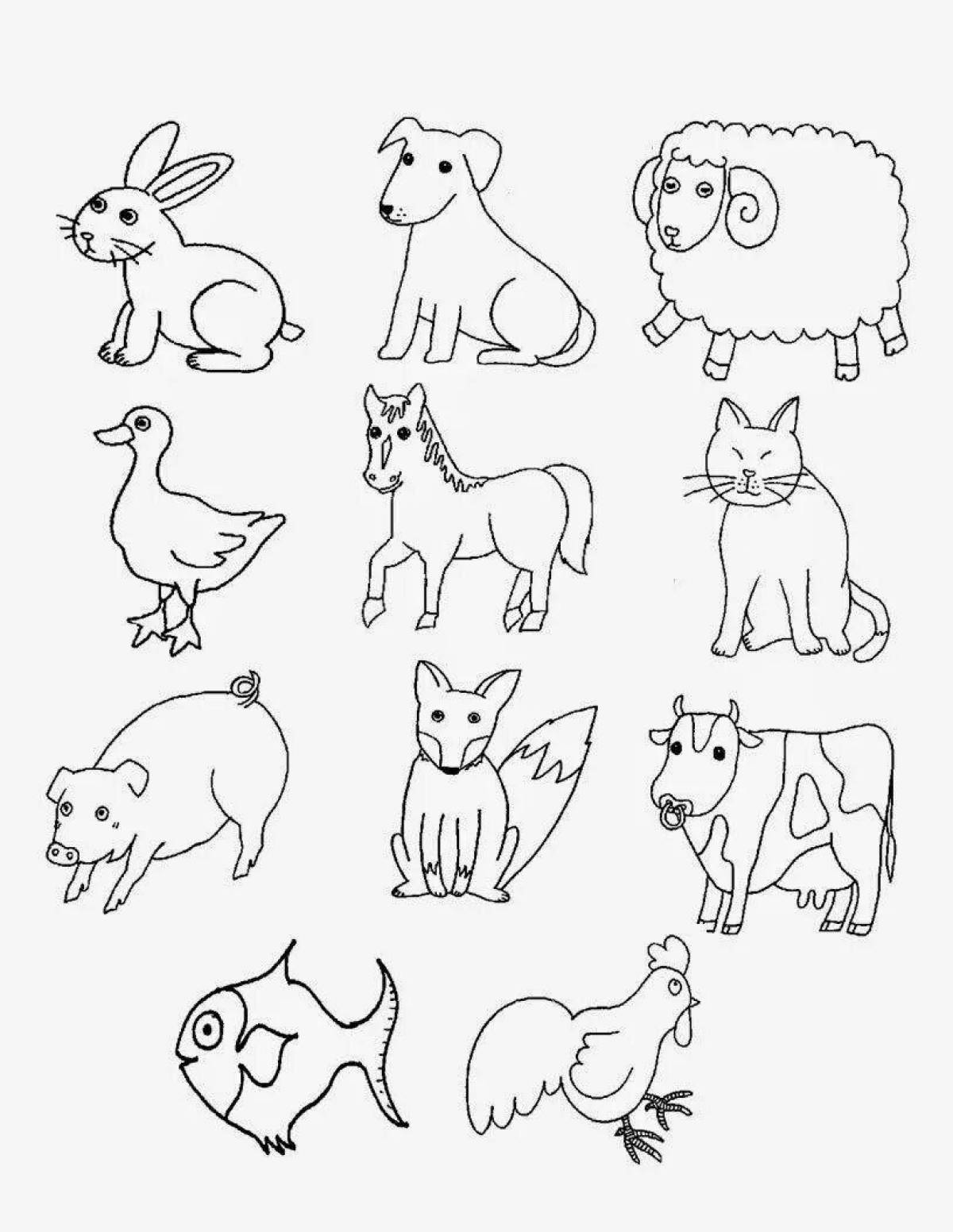 Witty pet coloring pages for 5-6 year olds