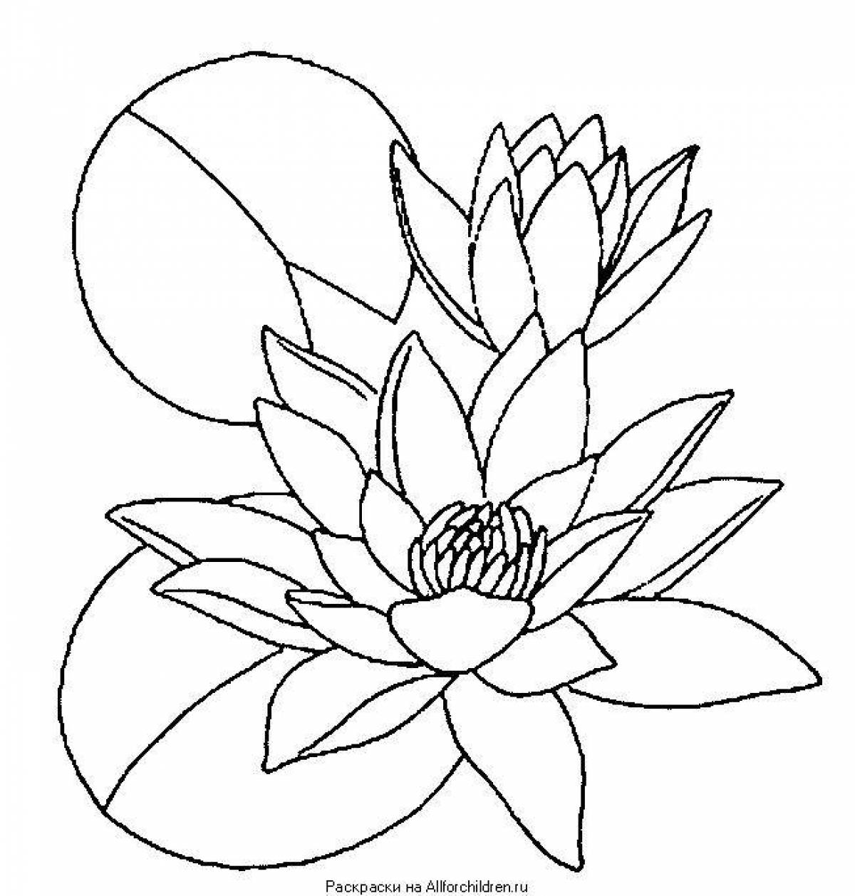 Bright water lily coloring book