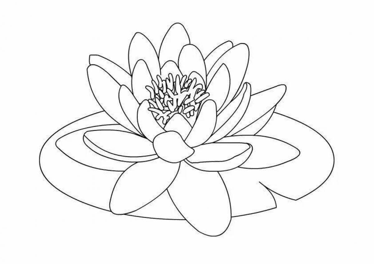 Coloring shining water lily
