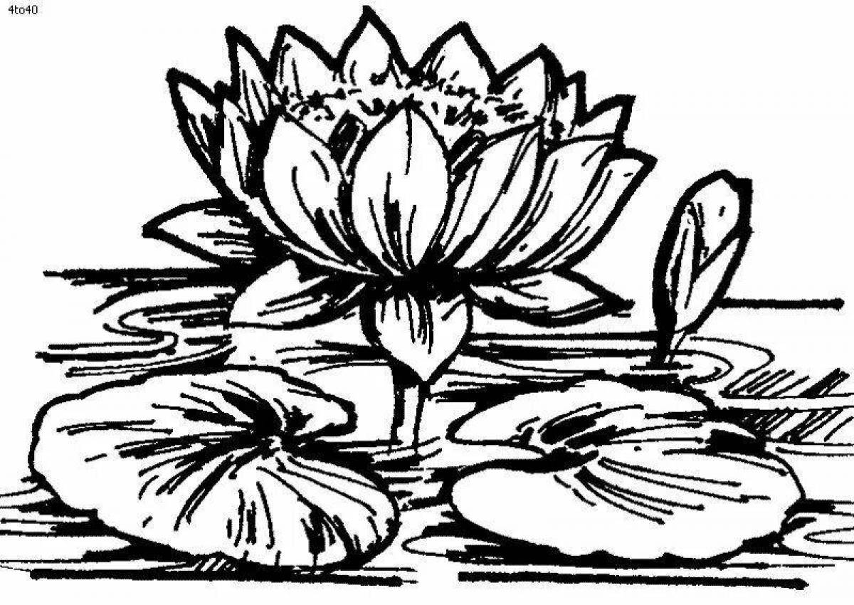 Glorious water lily coloring page