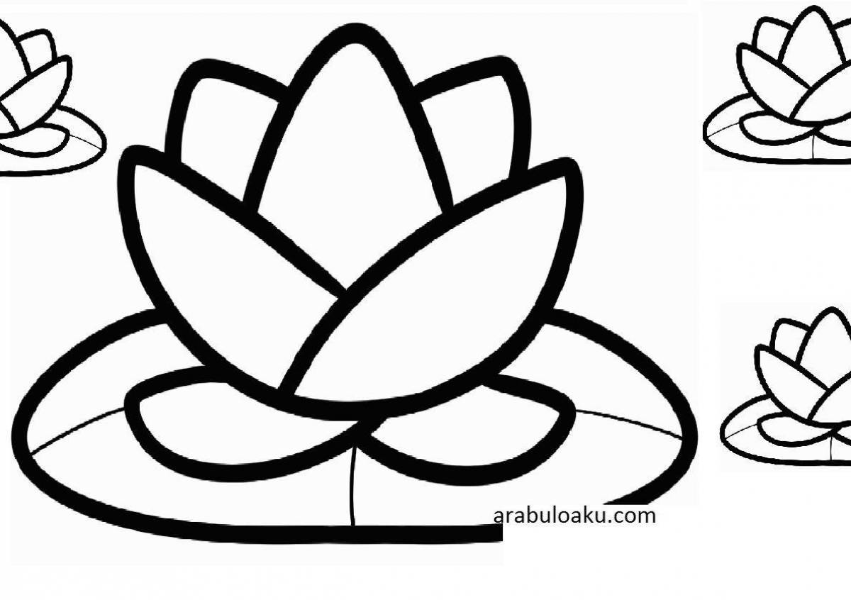 Exquisite water lily coloring book