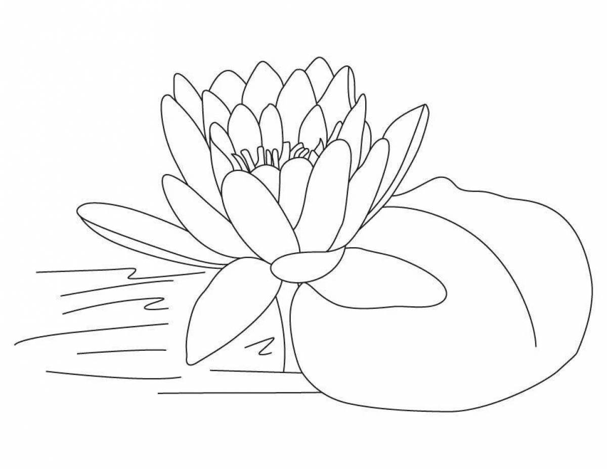 Amazing water lily coloring book