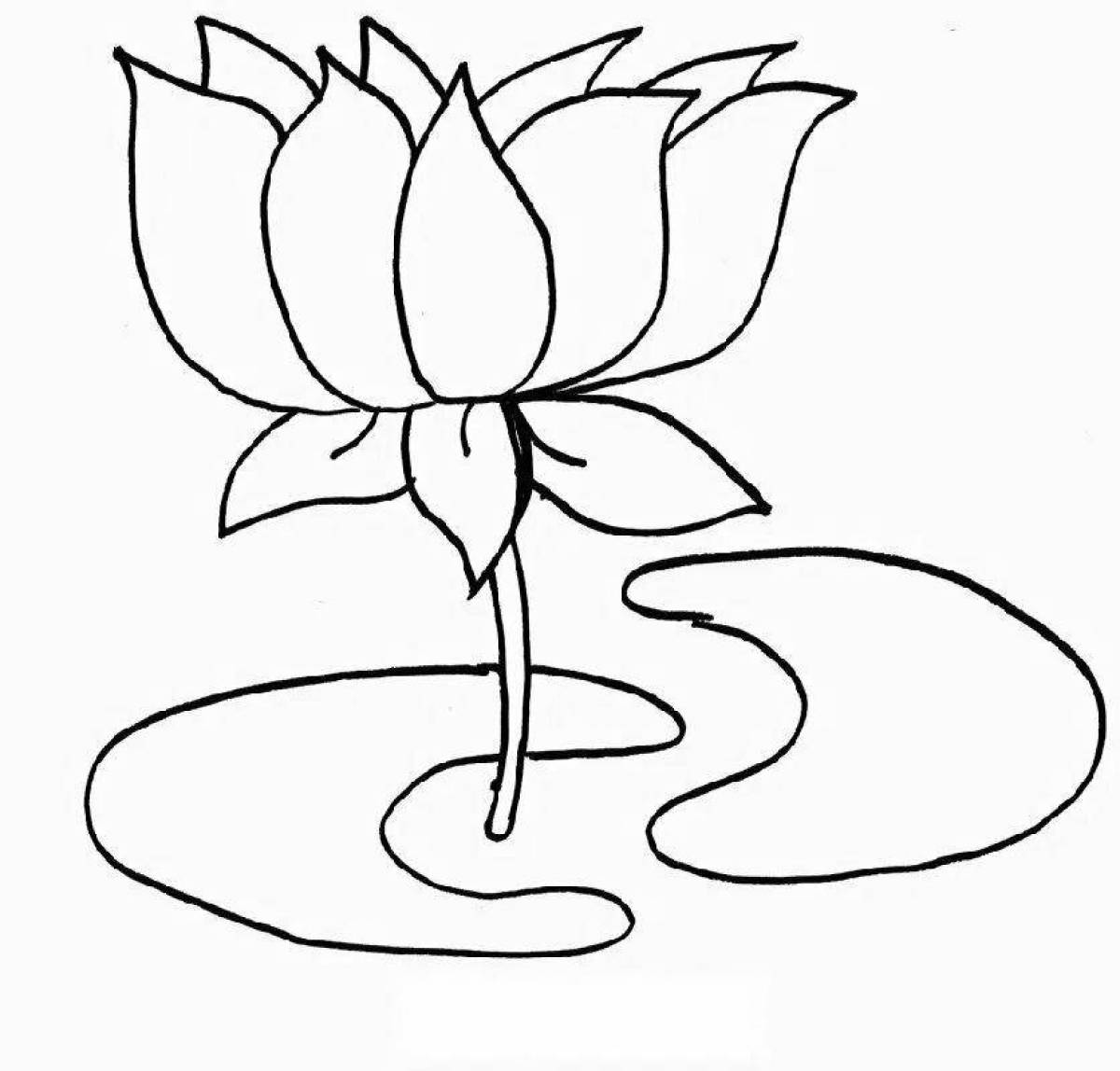 Lovely water lily coloring page